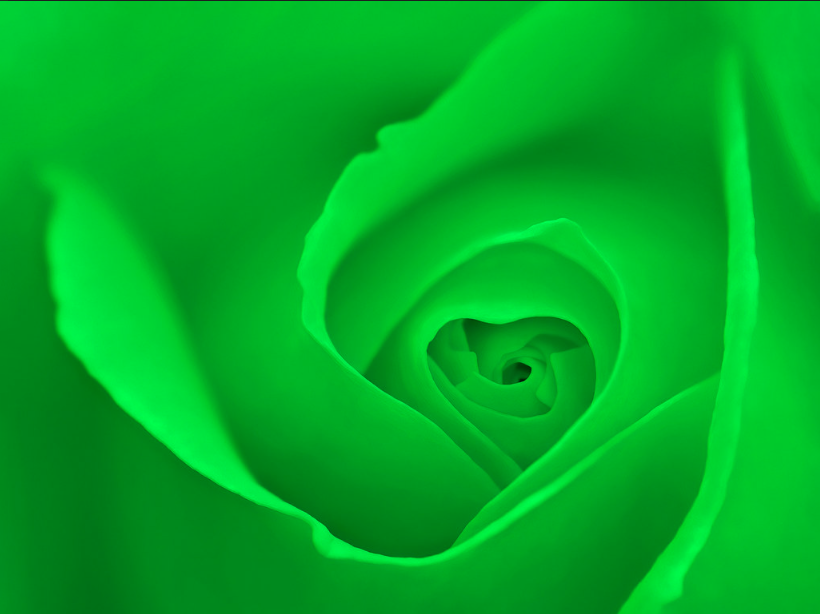 Kuukausikisan “vihreä” tulokset